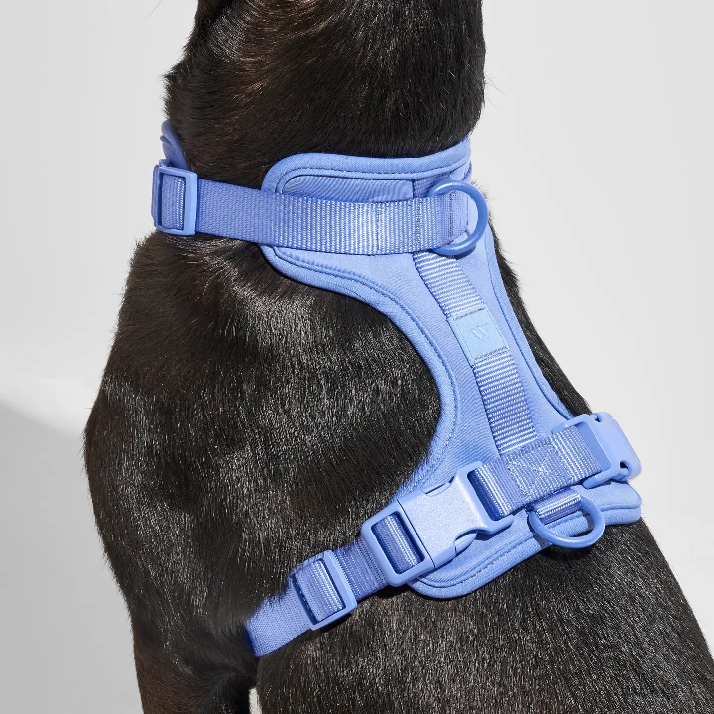 Wild One Comfort Dog Harness in Lilac