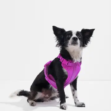 Wild One Comfort Dog Harness in Lilac