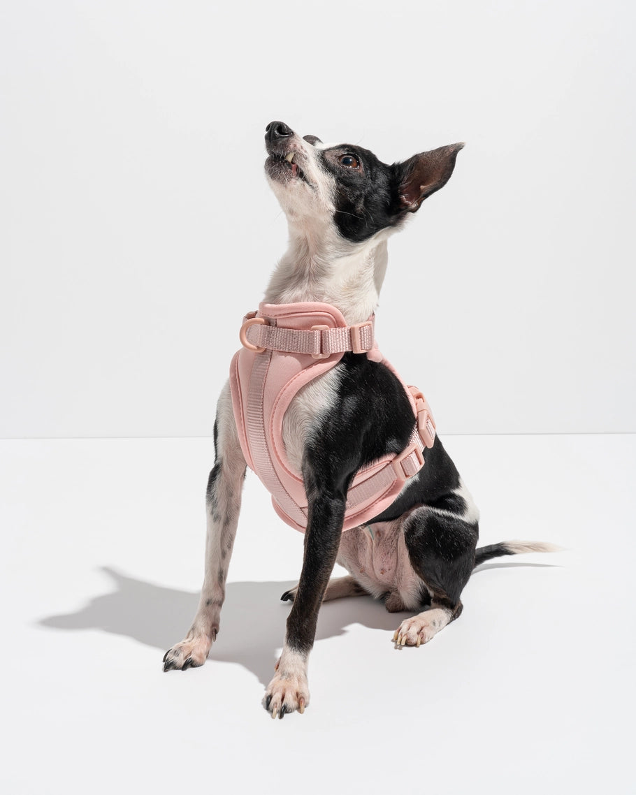 Wild One Comfort Dog Harness in Lilac