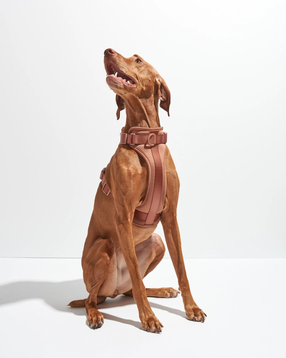Wild One Comfort Dog Harness in Lilac