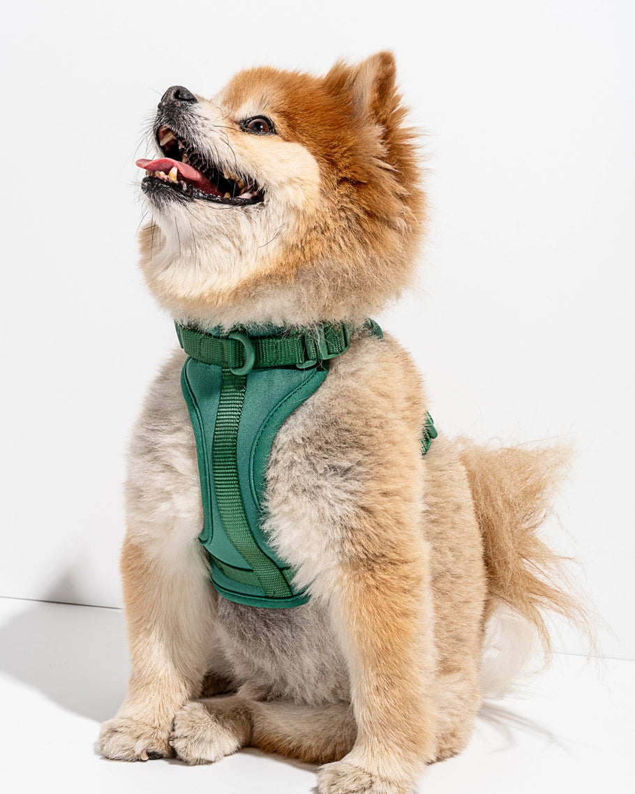 Wild One Comfort Dog Harness in Lilac