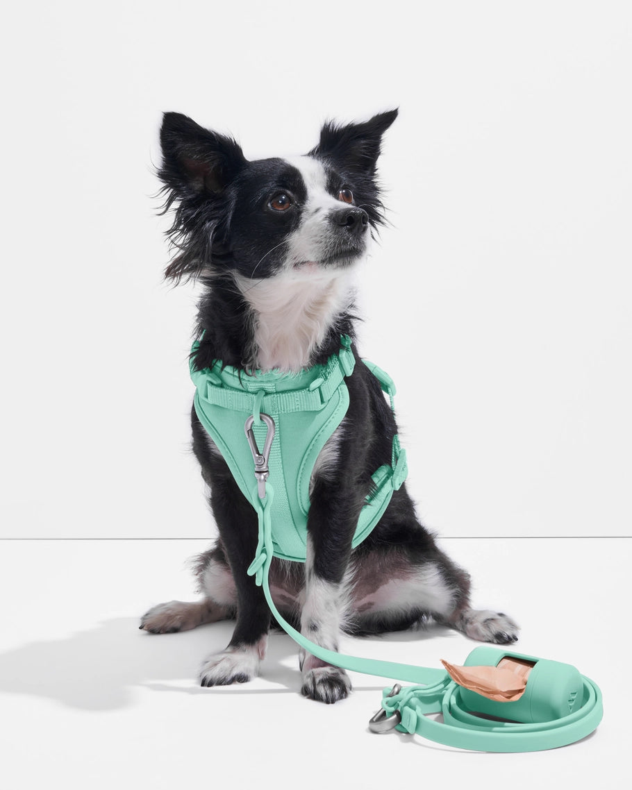 Wild One Comfort Dog Harness in Lilac