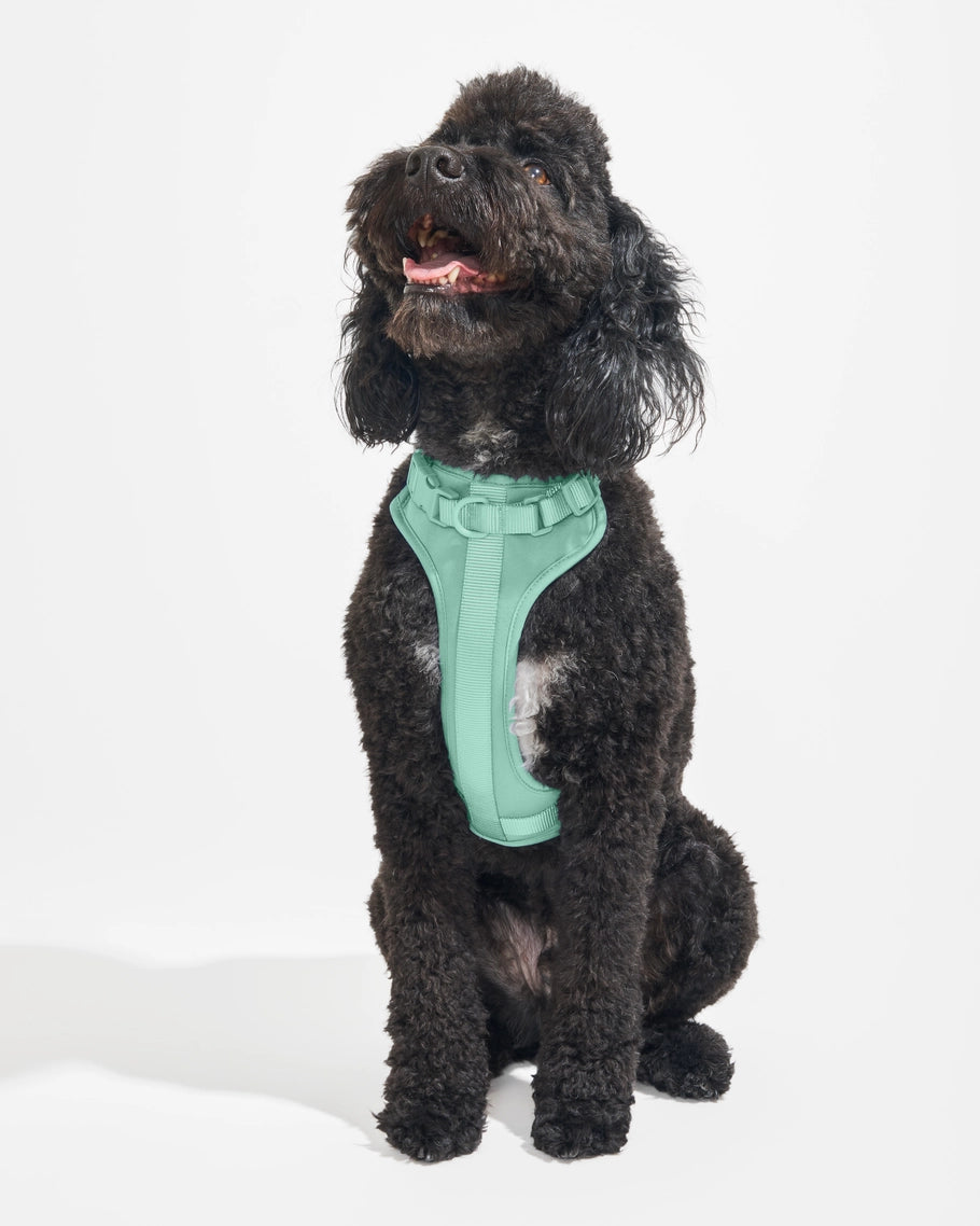 Wild One Comfort Dog Harness in Lilac