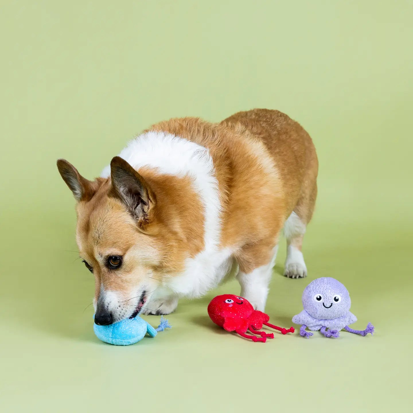 Too Tenta-cool Mini Jellyfish Plush Pet Toys