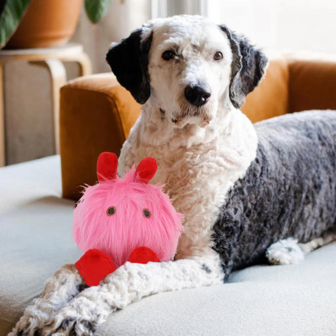 Love Bug Plush Ball Dog Toy