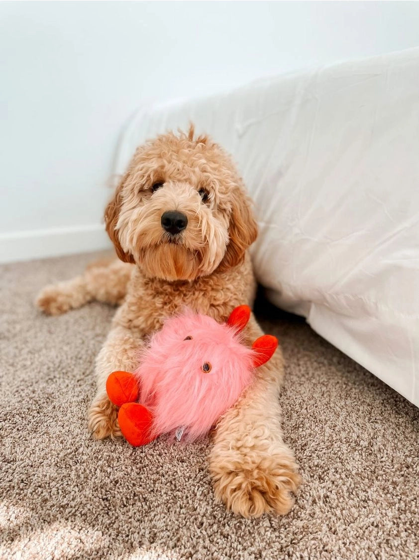 Love Bug Plush Ball Dog Toy
