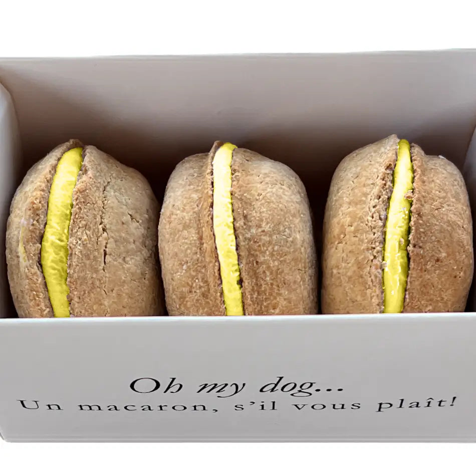 Bonne et Filou's French Macaron Treats for Dogs
