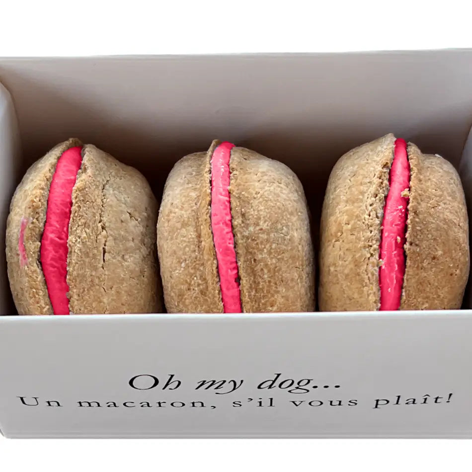 Bonne et Filou's French Macaron Treats for Dogs