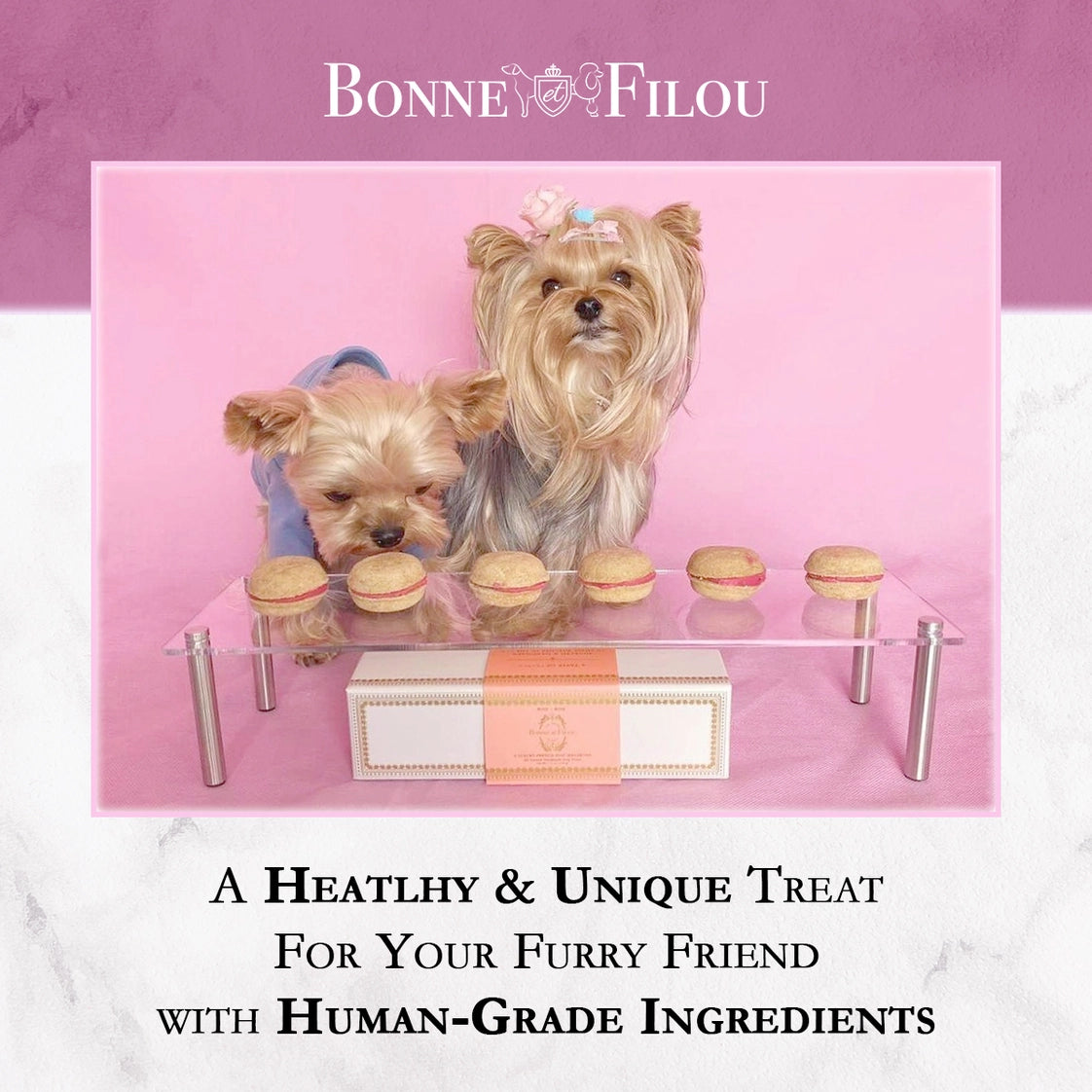Bonne et Filou's French Macaron Treats for Dogs