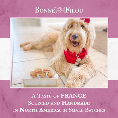 Bonne et Filou's French Macaron Treats for Dogs