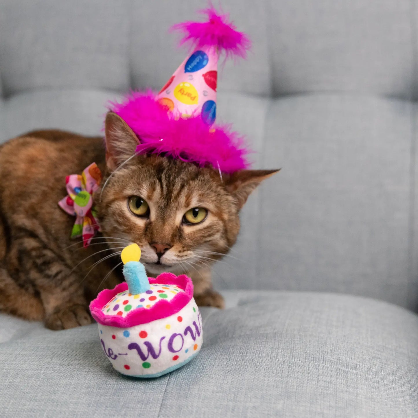 Mewow Cake Catnip Toy for Cats