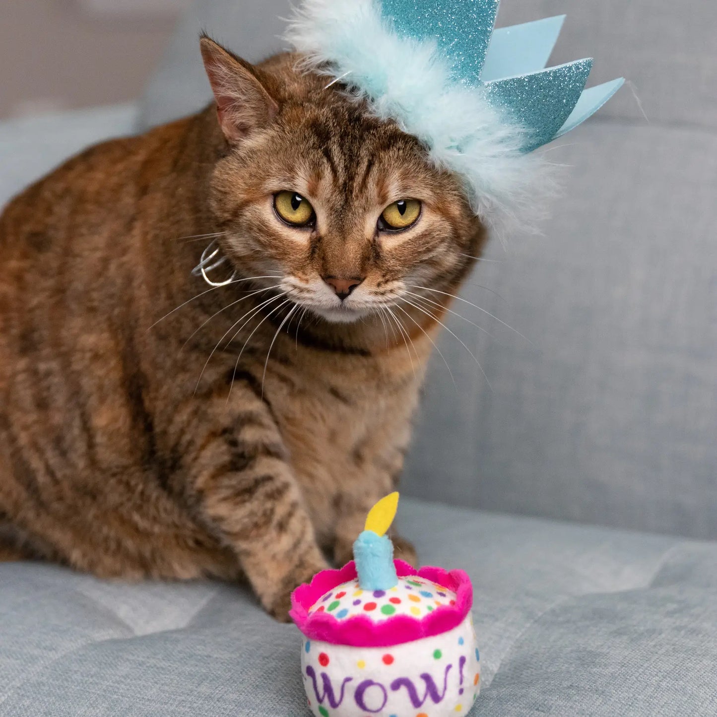 Mewow Cake Catnip Toy for Cats