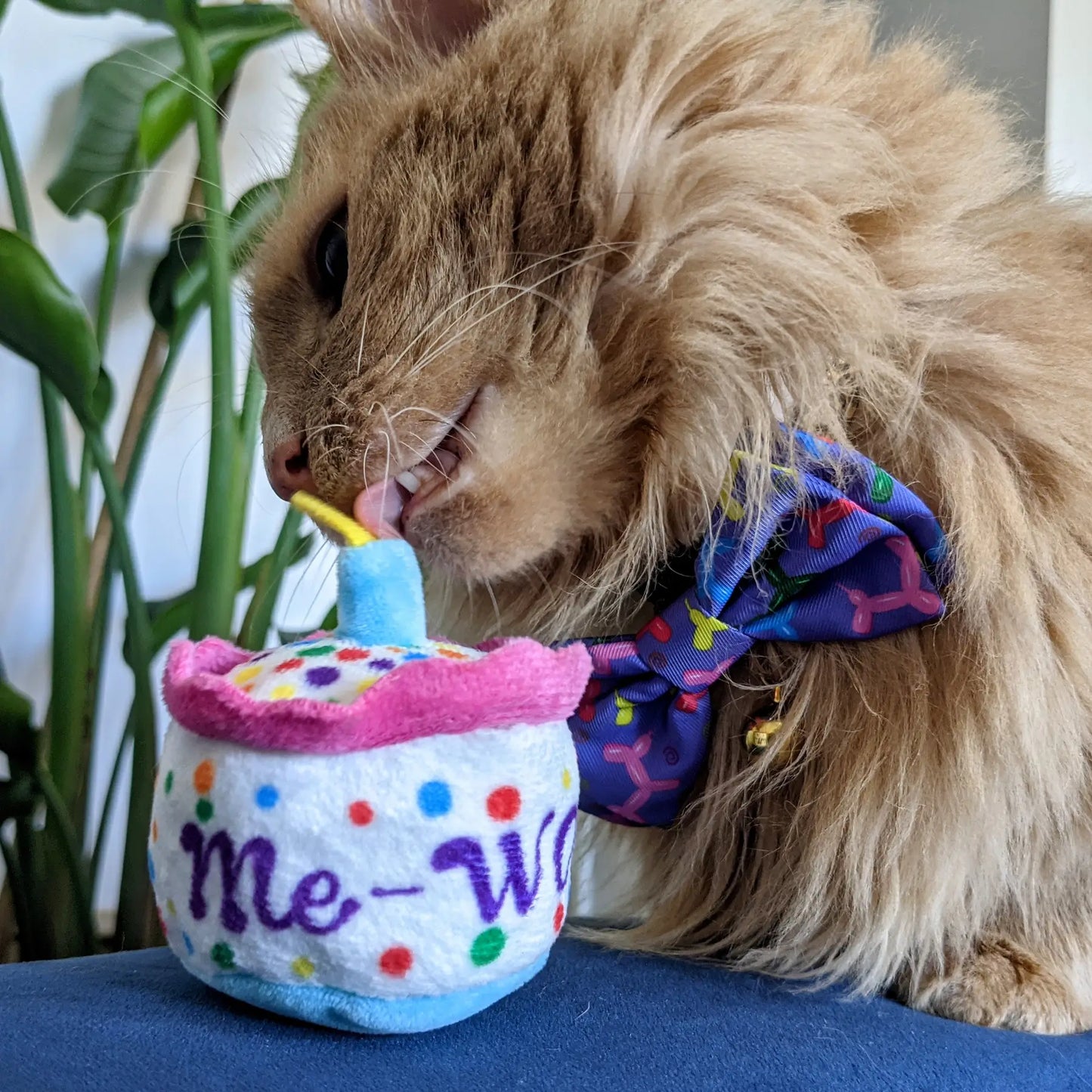 Mewow Cake Catnip Toy for Cats