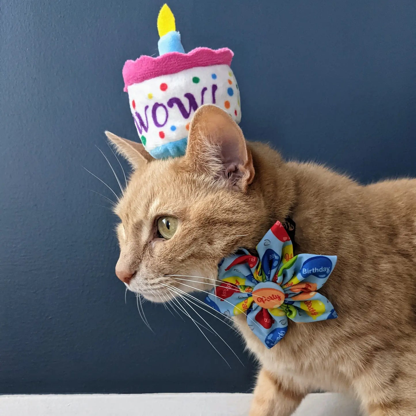 Mewow Cake Catnip Toy for Cats