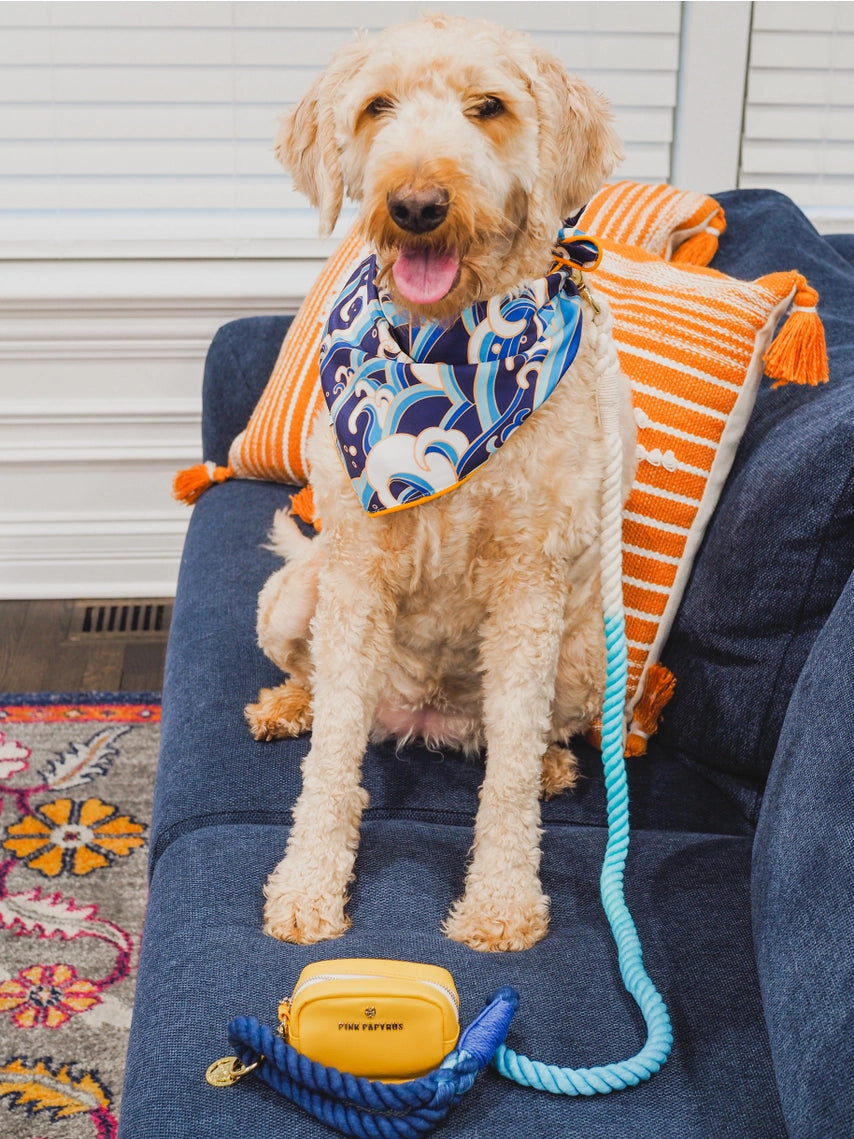 Rope Leash Pride Collection: MLM Blues