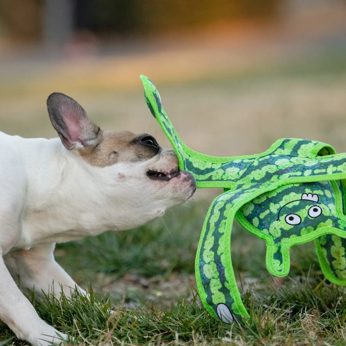 Monster Tough Toy for Dogs