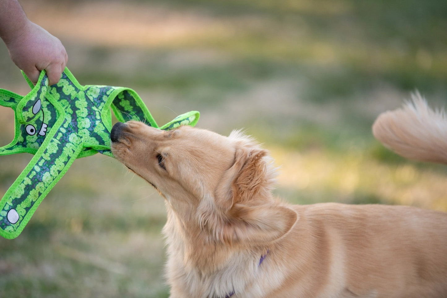Monster Tough Toy for Dogs
