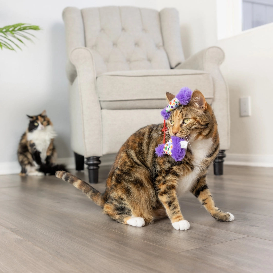 Catnip Party Hat Toys for Cats
