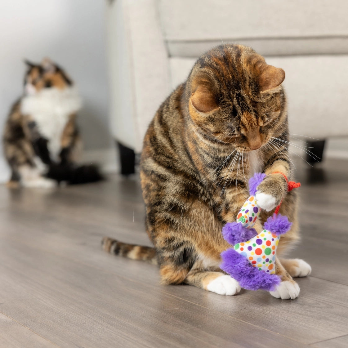Catnip Party Hat Toys for Cats