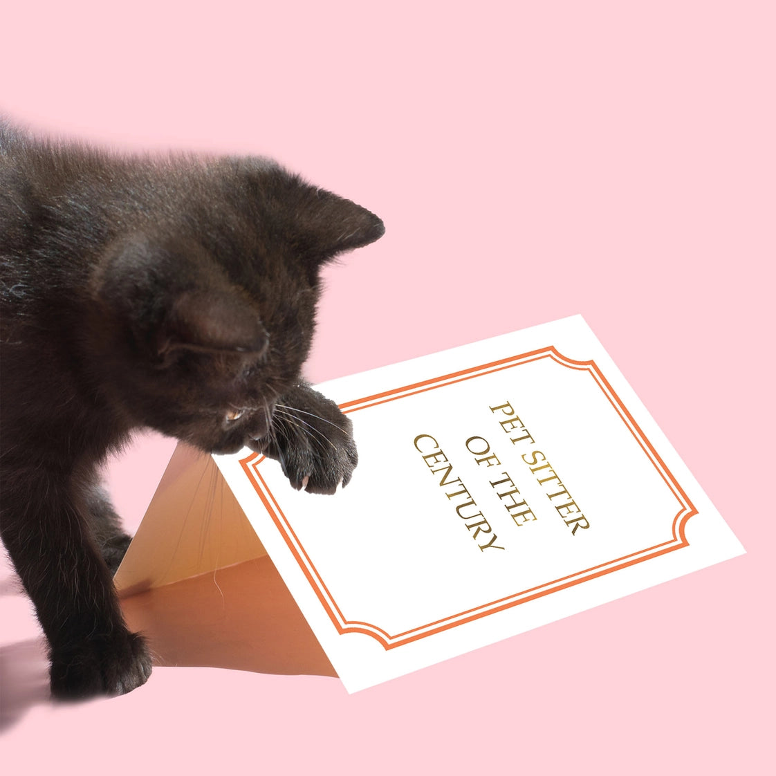 Pet Sitter Thank You Card