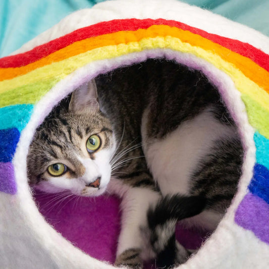 Rainbow Wool Kitty Cave