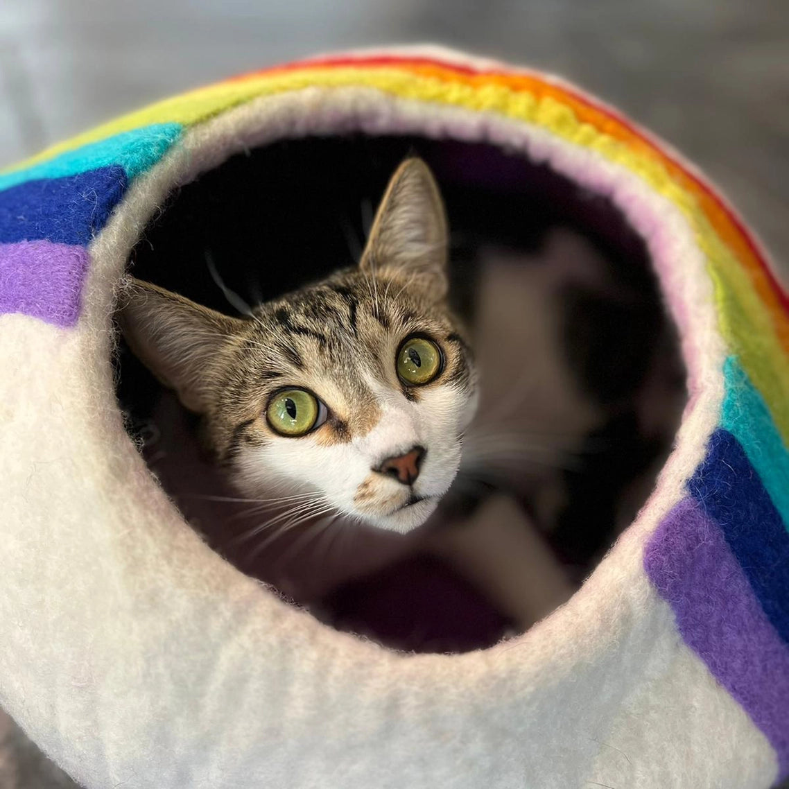 Rainbow Wool Kitty Cave