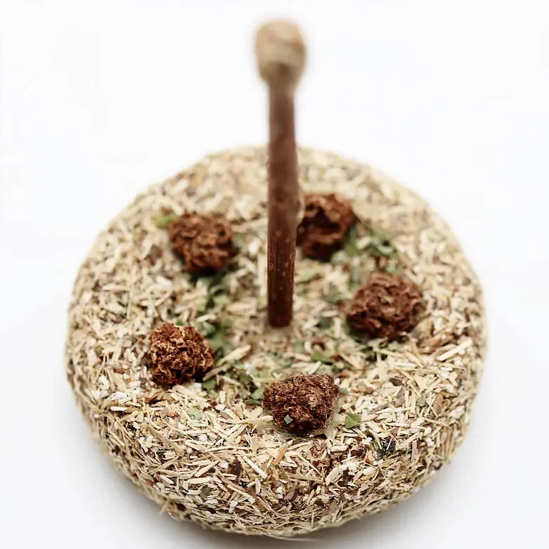 Silvervine and Catnip Birthday Cake for Cats