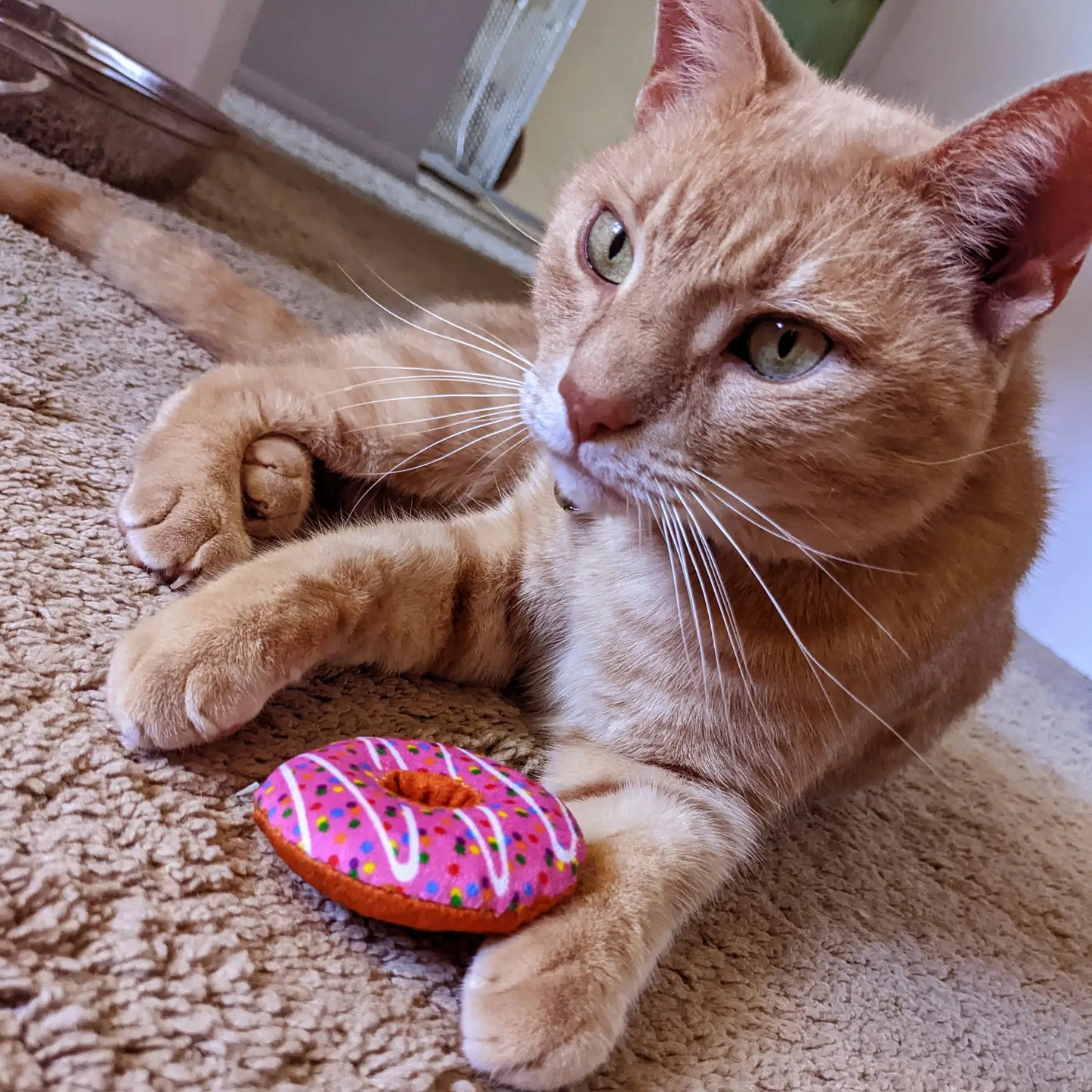 Strawberry Donut Catnip Toy for Cats