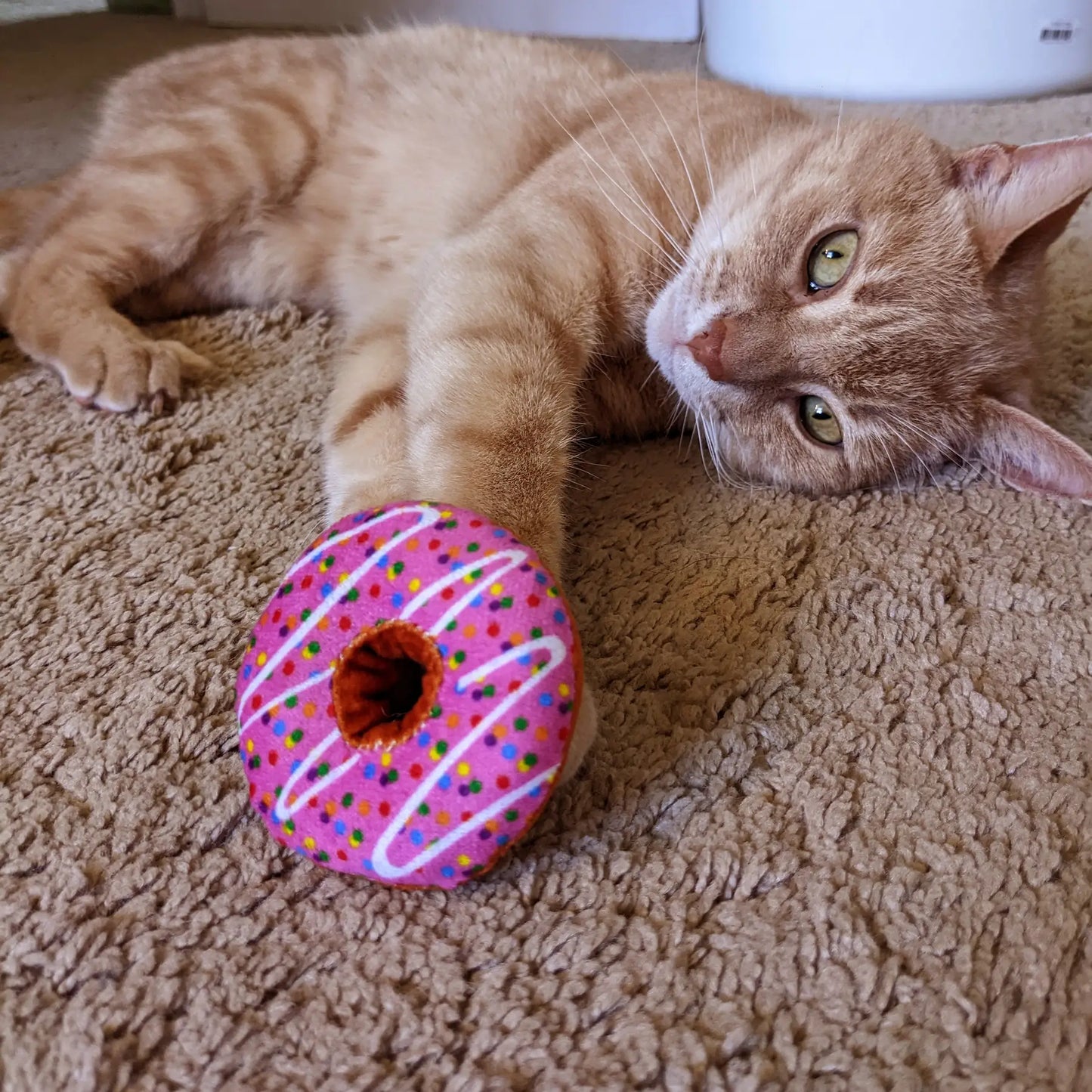 Strawberry Donut Catnip Toy for Cats