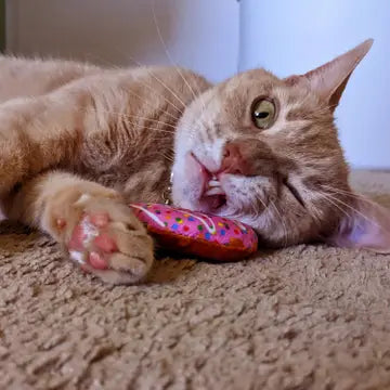 Strawberry Donut Catnip Toy for Cats