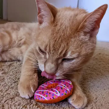 Strawberry Donut Catnip Toy for Cats