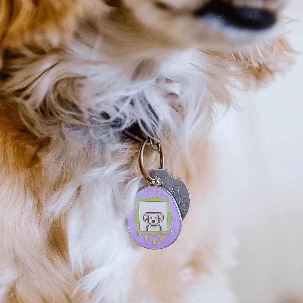 Tamagotchi ID Charm
