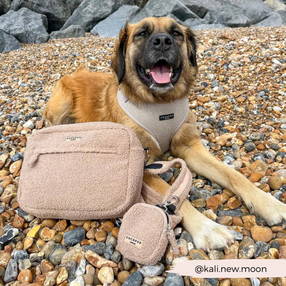 Cocopup Treat Pouch: The Teddy Rupert