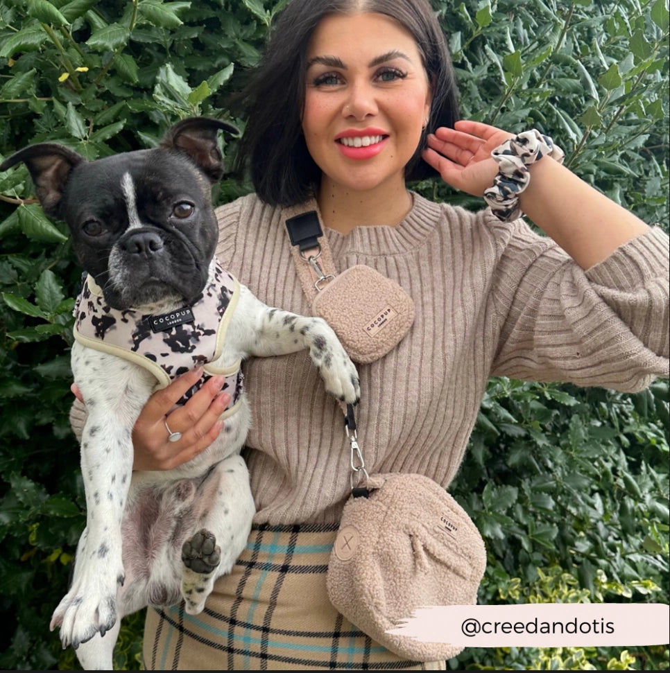Cocopup Treat Pouch: The Teddy Rupert