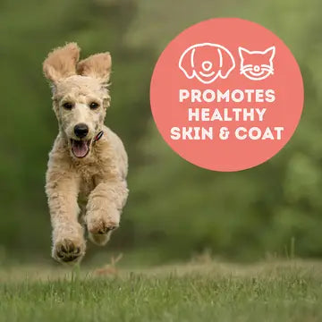 Best Treats in the Tunaverse! Freeze-Dried Tuna Flakes for Cats and Dogs