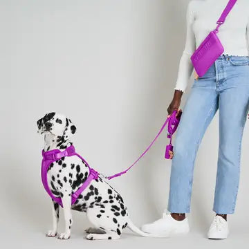 Wild One Adjustable Waterproof Dog Leash in Lilac