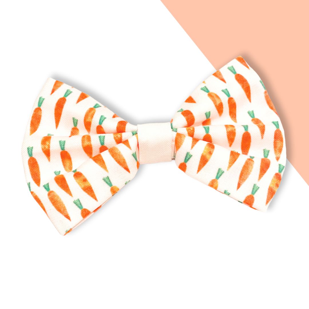 Little Carrots Pet Bowtie
