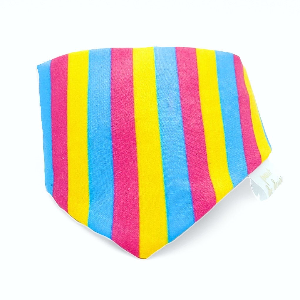 Pansexual Pride Classic Pet Bandana