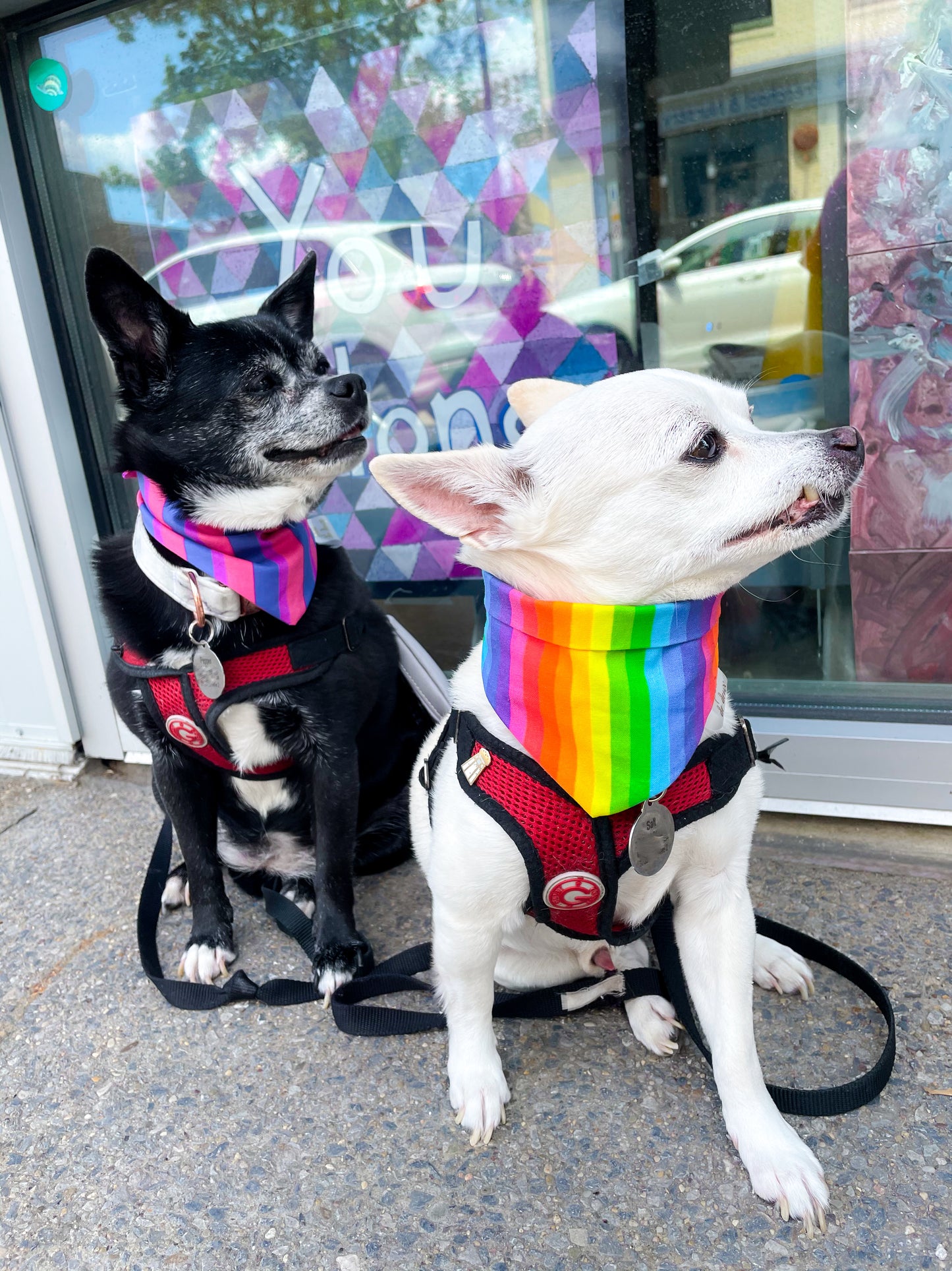 Pride Stripes Classic Pet Bandana