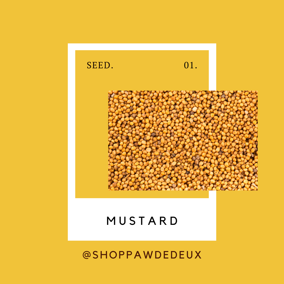 Mustard Seed Pawtone Color Swatch Sticker (#1)