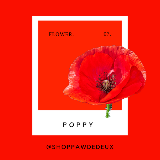 Poppy Red Pawtone Color Swatch Sticker (#7)