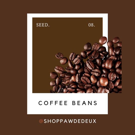 Coffee Beans Pawtone Color Swatch Sticker (#8)