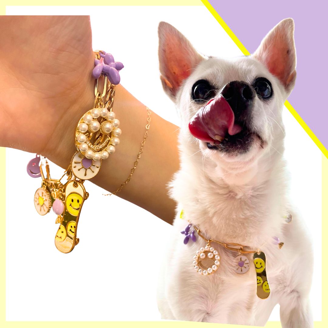 The Riley Pet Necklace