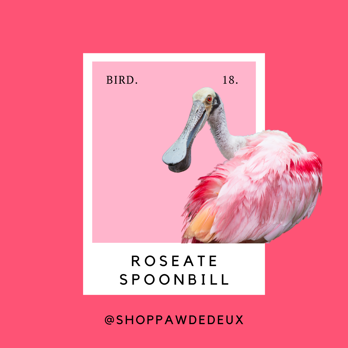 Roseate Spoonbill Pawtone Color Swatch Sticker (#18)