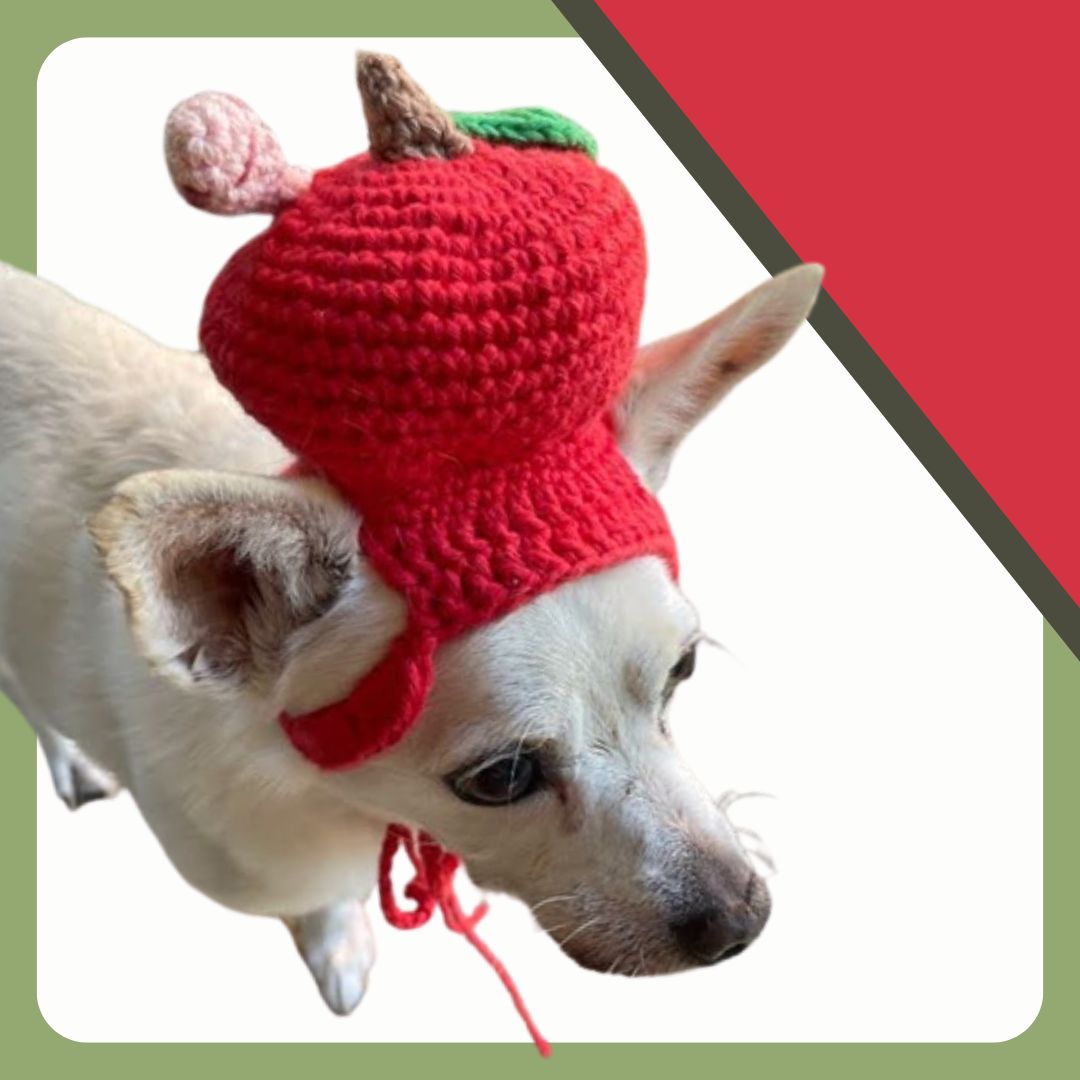 Hand- Crocheted Apple Pet Hat