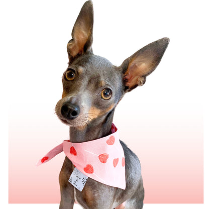 Lollipop Hearts Classic Pet Bandana