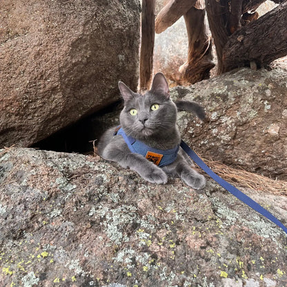 "the Jean Jacket" Cat Harness & Leash Set