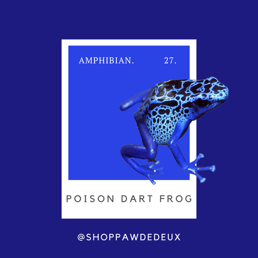 Poison Dart Frog Pawtone Color Swatch Sticker (#27)