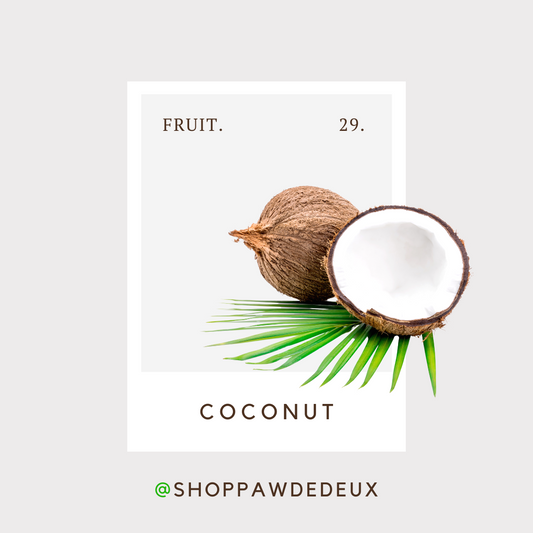 Coconut Pawtone Color Swatch Sticker (#29)