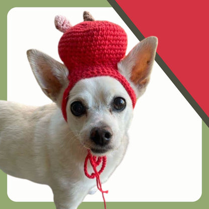 Hand- Crocheted Apple Pet Hat